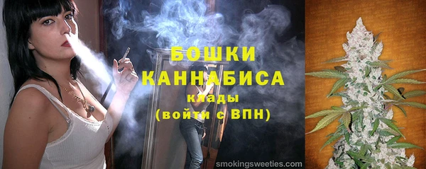 мдпв Пересвет
