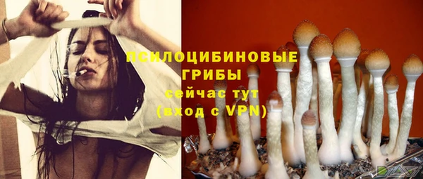 стафф Пестово