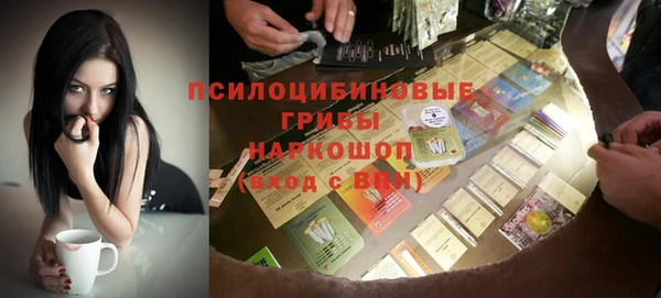 мдпв Покачи